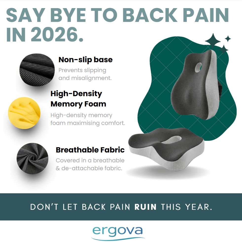 Ergova Aligna™