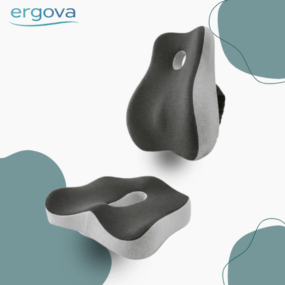 Ergova Aligna™